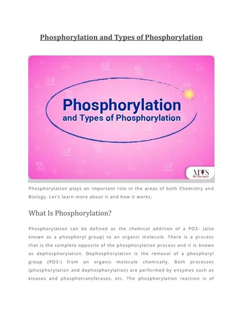 PPT - Phosphorylation and Types of Phosphorylation PowerPoint ...