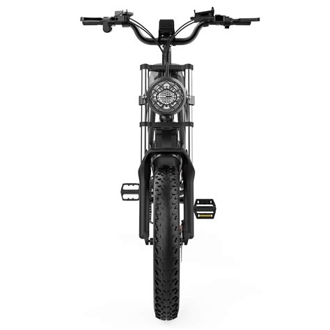 Ridstar Q20 Electric Bike 20 Inch 1000W Motor 48V 20Ah 48km H Speed