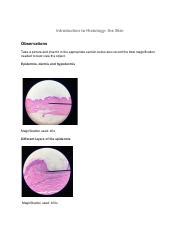 Module 3 Post Lab Pdf Introduction To Histology The Skin