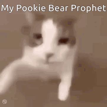 Pookie Bear Prophet Pookie Bear Pookie Bear Prophet Pookie Bear