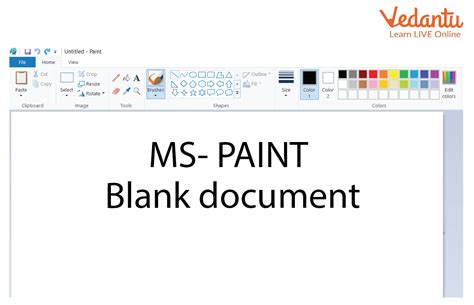 What Is Microsoft Paint ️