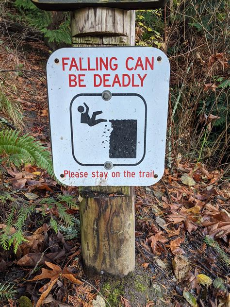 Me explaining how falling damage works to my shocked party | Scrolller