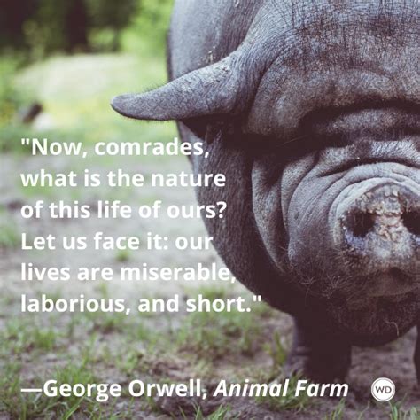 George Orwell Animal Farm Quotes 45 Animal Farm Quotes About Society