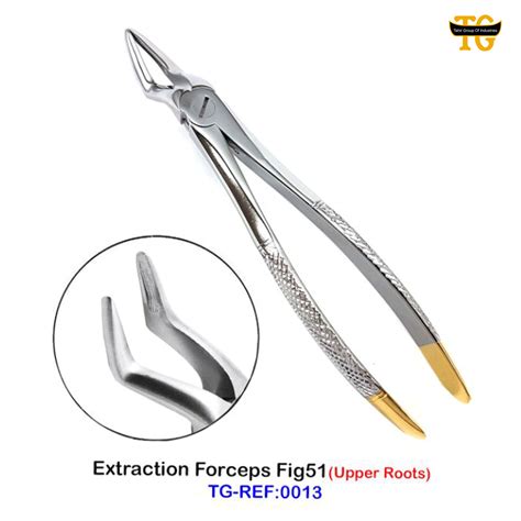 Extraction Forcep Tg Ref My Blog