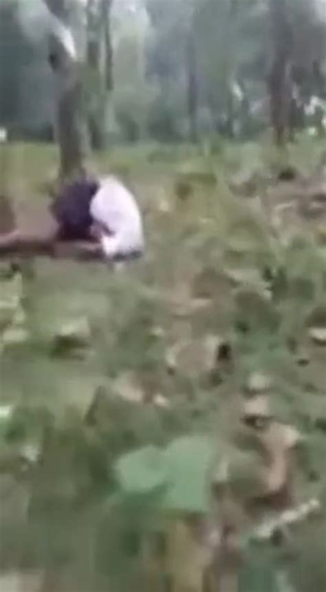 How An Elephant Says Fuck Off