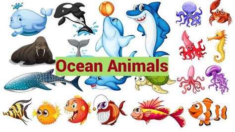 Ocean animals for kids, Sea Animals, Ocean animals lesson, Preschool ...