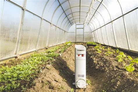 How To Heat A Greenhouse Effective Methods The Spicy Trio