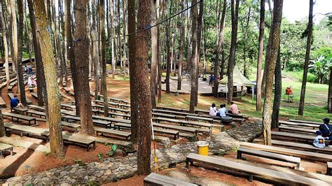 Wisata Hutan Pinus Jogja Liburan Murah Di Jogja NaganTour