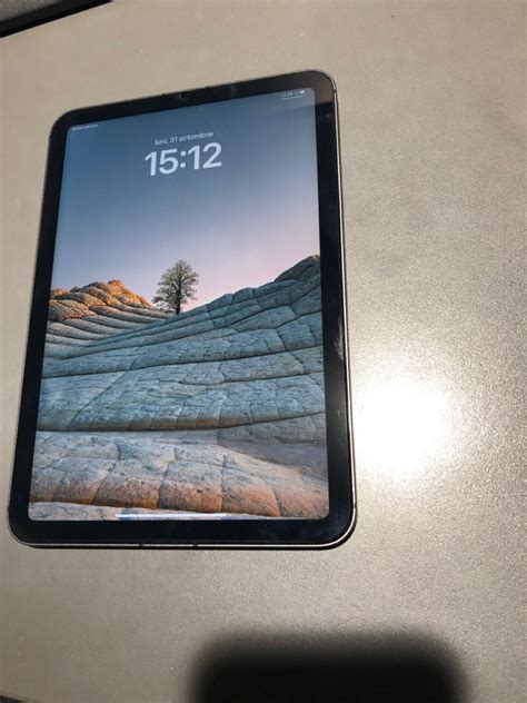 iPad mini 6 256gb LTE