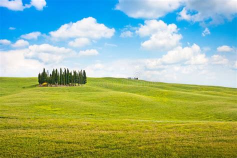 Tuscany Cypress Trees White Road Rural Landscape Italy Europe Stock