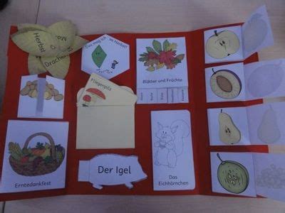 Lapbook Parvanovablog Weebly Zaubereinmaleins Kinder Hot Sex