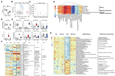 Frontiers Apigenin Alleviates Obesity Associated Metabolic Syndrome