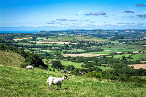 Hidden Gems of Dorset: A Journey through Timeless Villages – Dorset Tours