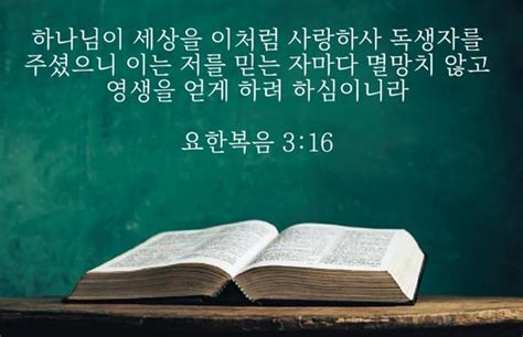 요한복음 3장 16절 하나님이 세상을 이처럼 사랑하사 독생자를 주셨으니미디어저널