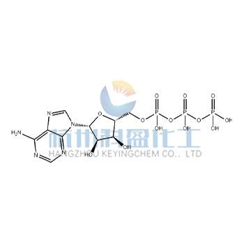 China Adenosine Triphosphate 56 65 5 Manufacturers Suppliers Factory