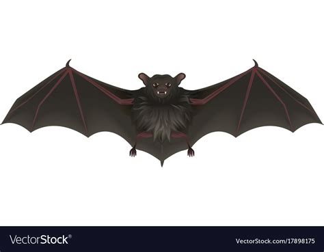 Bat vampire with sharp teeth spread its wings Vector Image