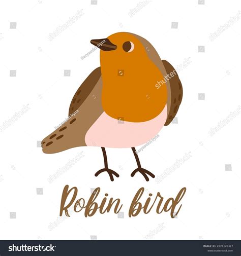 Cartoon Robin Bird Cute Winter Bird Stock Vector Royalty Free