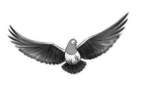 Rory Conways Blog More Pigeons Designs