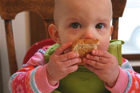 Izzy 153 Eating Toast Minnesota Prairie Roots