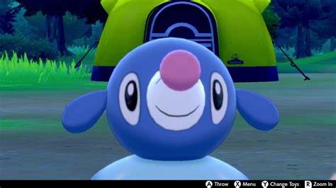 Popplio In Camp Pokemon Sword Shield Youtube