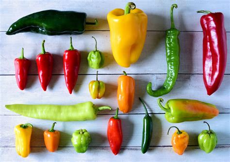 Are Jalapenos Hotter Than Red Chillies? Exploring Spiciness Levels