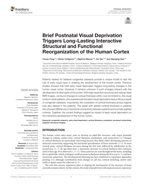 PDF Brief Postnatal Visual Deprivation Triggers Long Lasting