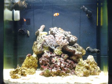 Nano Saltwater Aquariums - A Beginners Guide