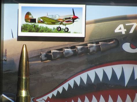 P-40 Warhawk Aviation Nose Art Shadow Box. for Military Decor, Aviation ...