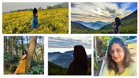 Araku Full Tour Vanjangi Galikonda View Point Yellow Flowers