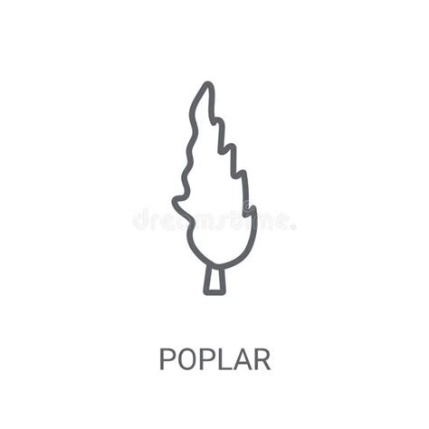 Poplar Icon Trendy Poplar Logo Concept On White Background From Stock