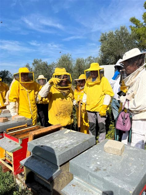 Incontro Sullinvernamento Delle Api E Consegna Degli