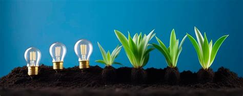 Premium Photo Lightbulb With Small Plant On Soil And Sunshine Concept