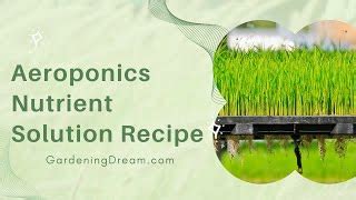 Aeroponics Nutrient Solution Recipe - Marijuana Learn