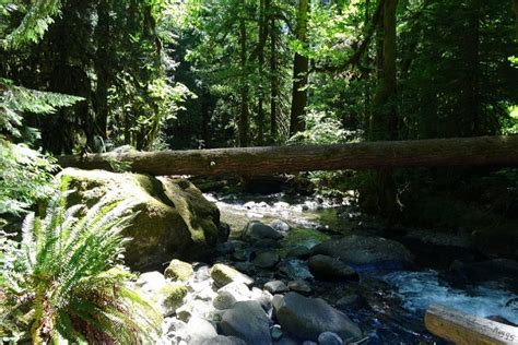 Wall Creek Warm Springs Meditation Pool Cascade Range Hot Springs