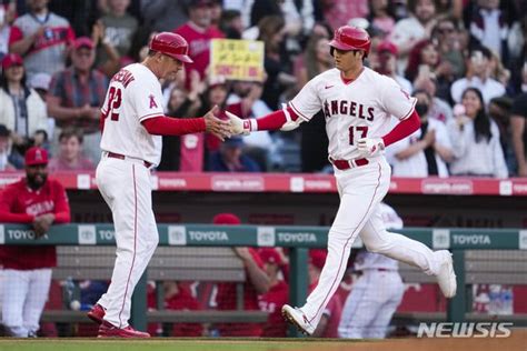 26호 오타니 Mlb 홈런 선두 탈환 네이트 뉴스