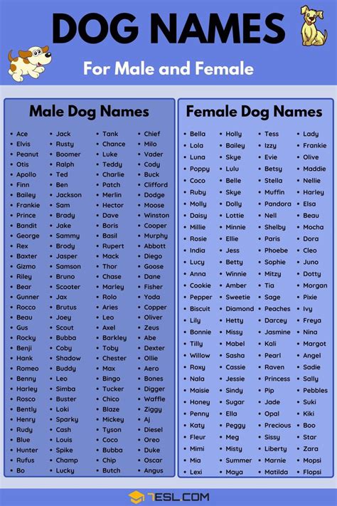 Dog Names: 100+ Most Popular Male And Female Dog Names