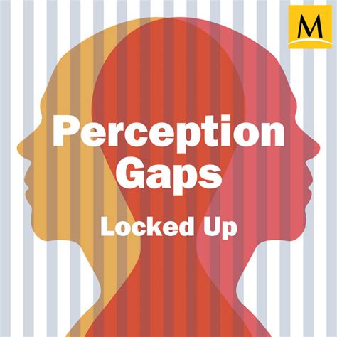 Perception Gaps Podcast On Spotify