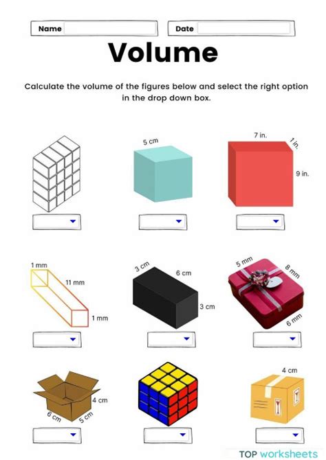 Volume of Solid Shapes. Interactive worksheet | TopWorksheets