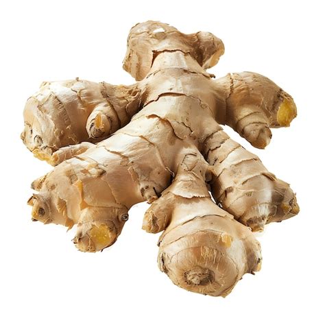 Premium Photo Ginger Root Vegetable Knobby Shape Characterized By Its Brow Isolated On White