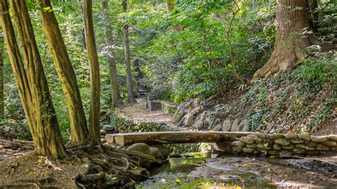 Dumbarton Oaks Park | The Cultural Landscape Foundation