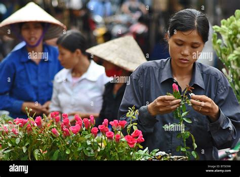 Hanoi Rose Vendor Hi Res Stock Photography And Images Alamy