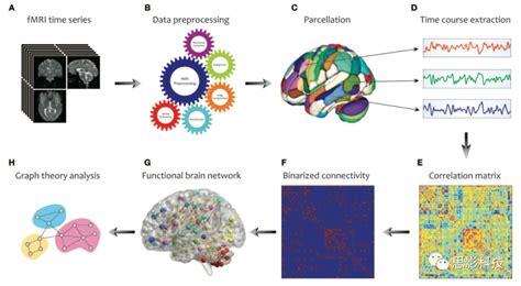 图论在识别人脑网络连通性模式中的应用 知乎