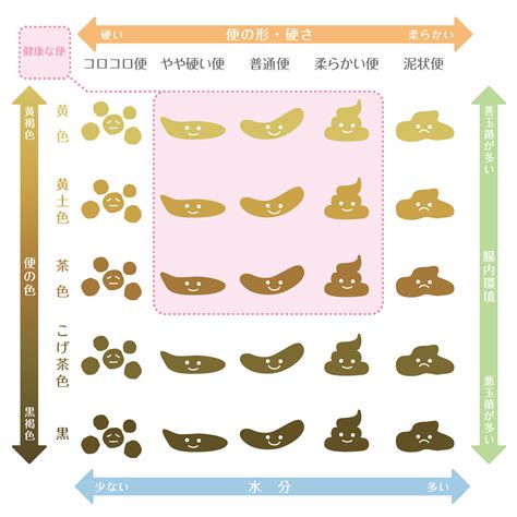 便の色 上海グリーンクリニック