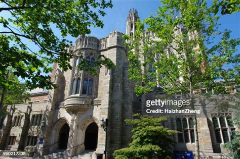 Yale University Colors Photos and Premium High Res Pictures - Getty Images