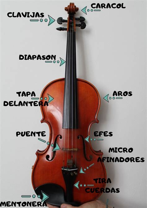 GUIA PARA ELEGIR TU PRIMER VIOLIN Soul Violin Studio Violines