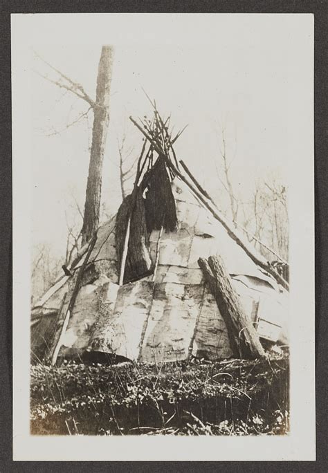 Chippewa Wigwams