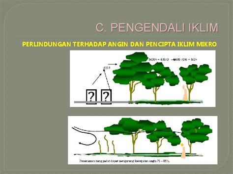 Tata Ruang Luar Pengenalan Elemen Lansekap Fungsi Vegetasi