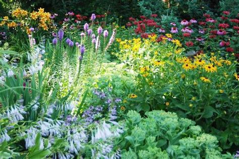 A garden with Daylilies, Bee Balm, Black Eyed Susan, Echinacea, Hosta ...