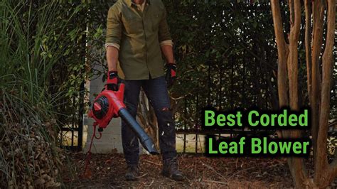 Best Corded Leaf Blowers in the Market | Reviews of 2024 ...