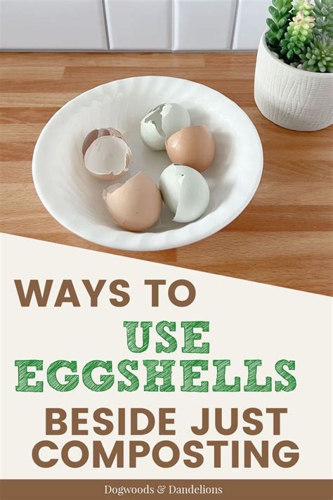 Ways To Use Eggshells Artofit